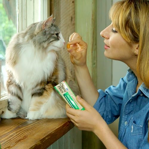 INABA Churu Bites for Cats, Soft/Chewy Baked Chicken Wrapped Churu Filled Cat Treats with Vitamin E, 0.35 Ounces per Tube, 24 Tubes Total (3 Tubes per Pack), Chicken Recipe