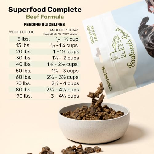 BADLANDS RANCH by Katherine Heigl – Superfood Complete Air-Dried Beef Dog Food – High Protein with Superfoods for Daily Wellness & Consistent Nutrition – 24 oz