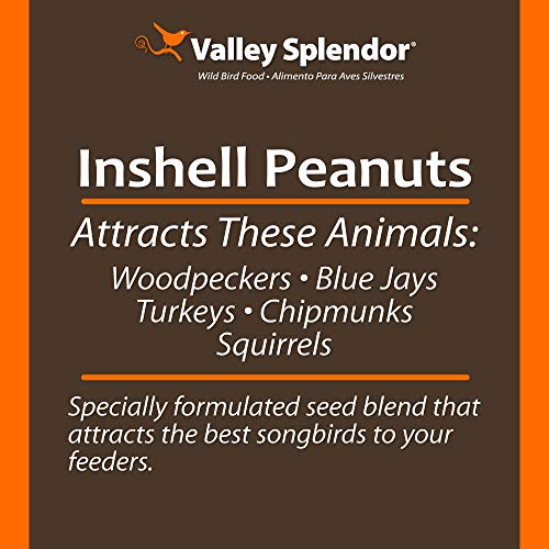 Red River Commodities 347 Peanuts In A Shell 3lbs.