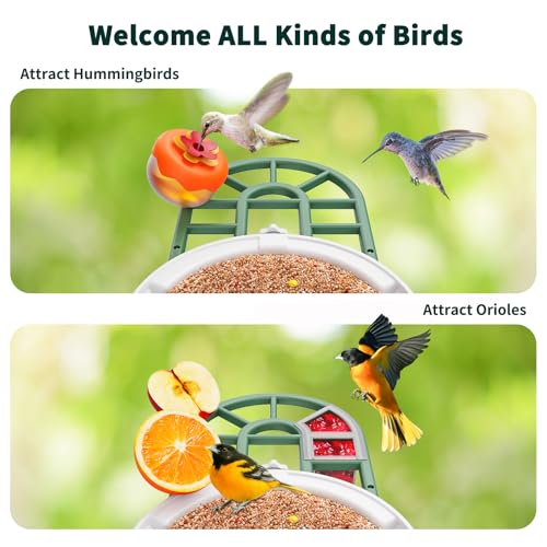 HARYMOR Bird Feeder with Camera with AI Identify Birds Species Solar Powered, Smart Bird House with Cam, 2K HD Video Live Stream, Instant Arrival Alerts - Green