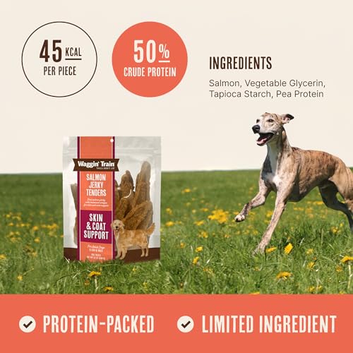 Waggin' Train Salmon Jerky Dog Treats for Skin and Coat Support, Made with 100% Real Salmon, No Grains and No Artificial Flavors or Colors, High Protein Dog Treat, Easily Digestible, 12 oz. Pouch
