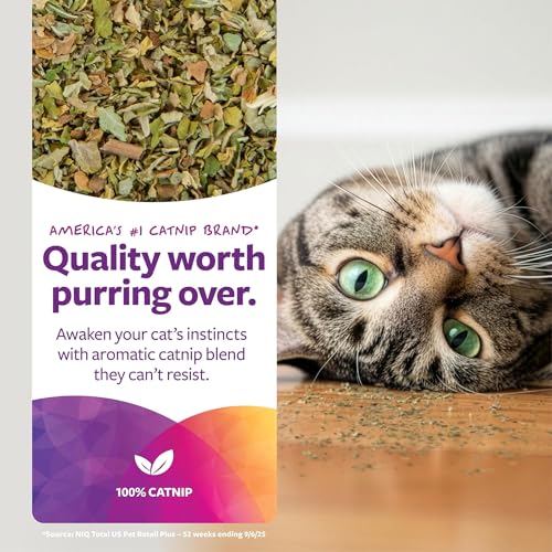 SmartyKat Natural Catnip Canister, 100% Natural Cat Nip for Cats, Premium Dried Catnip for Indoor Cats, Positive Training Aid for Play and Exercise, Resealable Shaker Bottle, 2 Ounces