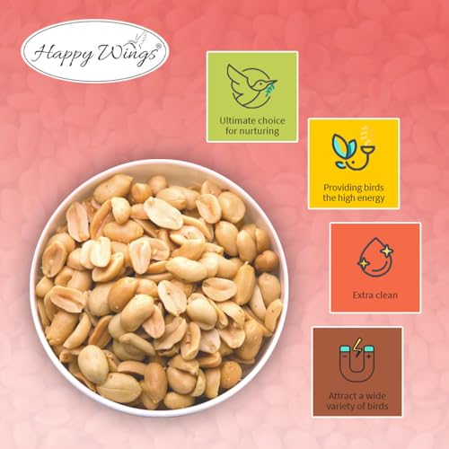 Happy Wings Shelled Peanuts Seeds Wild Bird Food - 5 Pounds I No Grow Seed I Bird Seed for Wild Birds