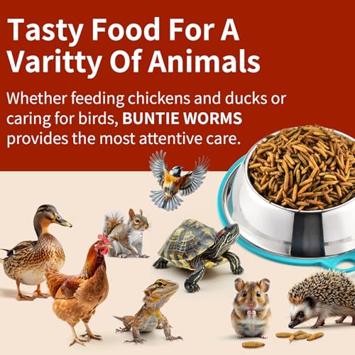 BUNTIE WORMS Dried Black Soldier Fly Larvae 10LB, 100% Natural Non-GMO, No Additives, Treat for Chickens, Reptiles and Birds, More Calcium Than Mealworms
