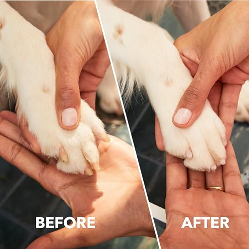 Dremel PawControl 7760-PET Dog Nail Grinder and Trimmer - Cordless & Rechargeable Pet Grooming Tool Kit - Safe for Dogs, Cats, and Small Animals ( Exclusive)