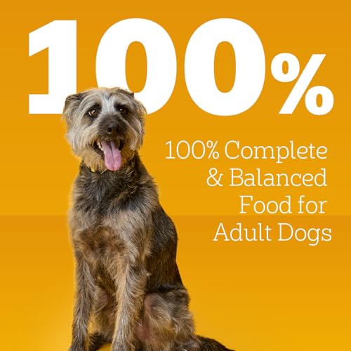 Pedigree Chopped Ground Dinner Wet Dog Food Filet Mignon & Beef Variety Pack, Canned Dog Food, 13.2 oz. Cans, 12 Count