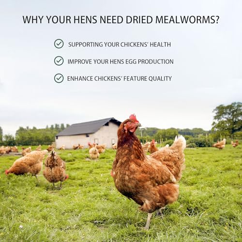 Dried Mealworms 10LB Pure Natural Non-GMO Mealworms for Chickens High Protein Chickens Feed Meal Worms for Laying Hens Wild Birds