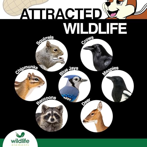 Wildlife Elements Peanut Party Unprocessed, Raw in-Shell Peanuts Wildlife Animal Food, 25lb - Rich in Protein, Healthy Fats, and Essential Nutrients for Birds, Squirrels and Waterfowl