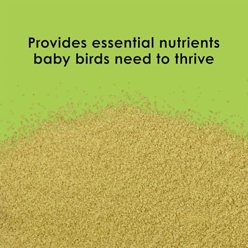 Kaytee Exact Hand Feeding Pet Bird Baby Food For Parrots, Parakeets, Lovebirds, Cockatiels, Conures, Cockatoos, and Macaws, 5 Pound
