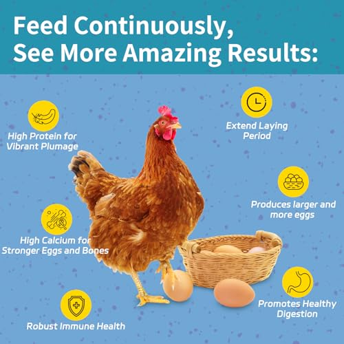 10LB Dried Black Soldier Fly Larvae for Chickens - 85X More Calcium Than Mealworms for Strong Eggshells, High-Protein Chickens Treats for Laying hens, Birds, Ducks