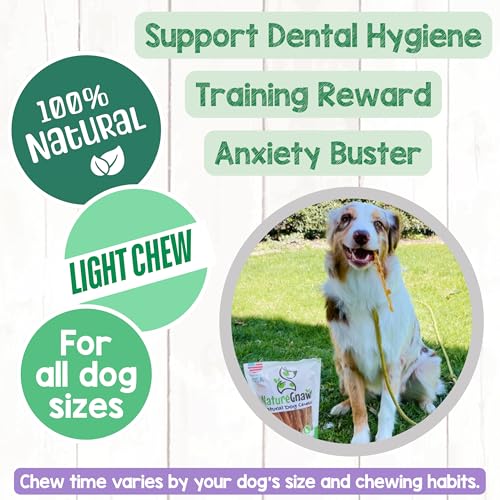 Nature Gnaws USA Turkey Tendons for Dogs (4oz) - Delicious Grain Free Reward Snack for Small, Medium & Large Breeds - Premium Natural Dog Chew Treats