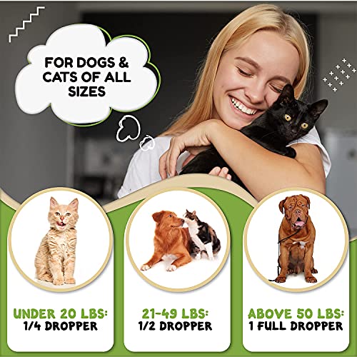 Billion Pets - Hemp Oil for Dogs and Cats - Helps with Anxiety, Pain, Stress, Sleep, Arthritis, Seizures Relief - Hip and Joint Support - Calming Drops Treats