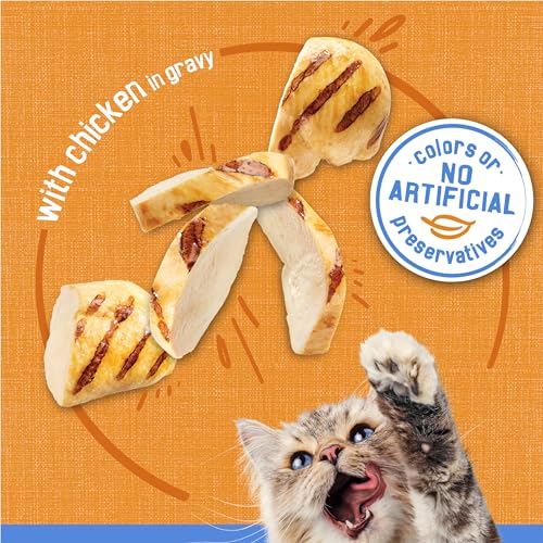 Purina Friskies Shreds With Chicken in Wet Cat Food Gravy - (Pack of 24) 5.5 oz. Cans