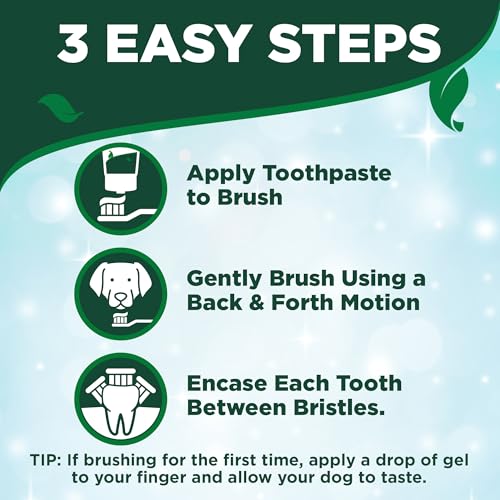 Vet's Best Dog Toothpaste & Dog Toothbrush, Dental Kit, Plaque Remover for Teeth, Whitens Teeth, Freshens Canine Breath, Veterinarian Formula, Finger Toothbrush Included