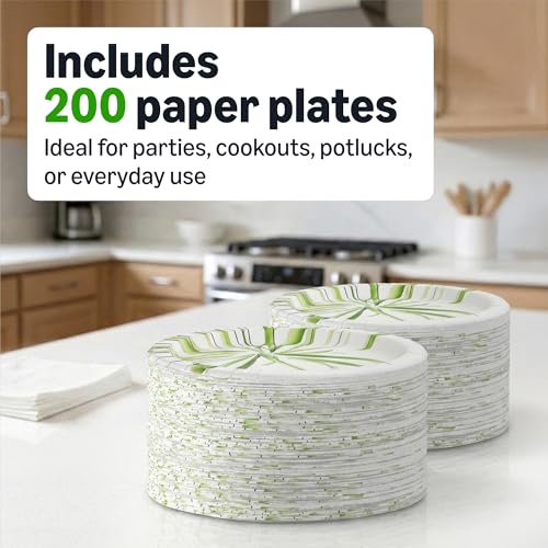 Basics Everyday Paper Plates, 8.62 Inch, Disposable, 200 Count, Packaging May Vary
