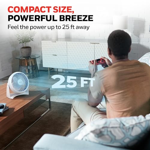 Honeywell TurboForce Air Circulator, Small Tabletop Fan, Quiet Personal Fan for Home or Office, 3 Speeds, 90 Degree Pivoting Head, White, HT-904