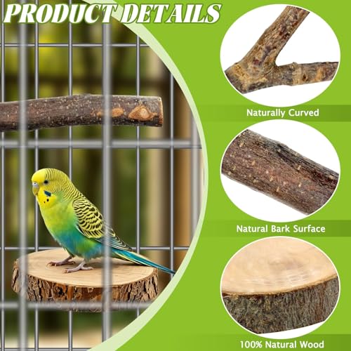 8 PCS Bird Perch Set for Cage - Natural Apple Wood Platforms & Hardwood Branches for Parakeets, Budgies, Cockatiels - Small Bird Habitat Gym, Climbing Stand & Safe Chew Toys