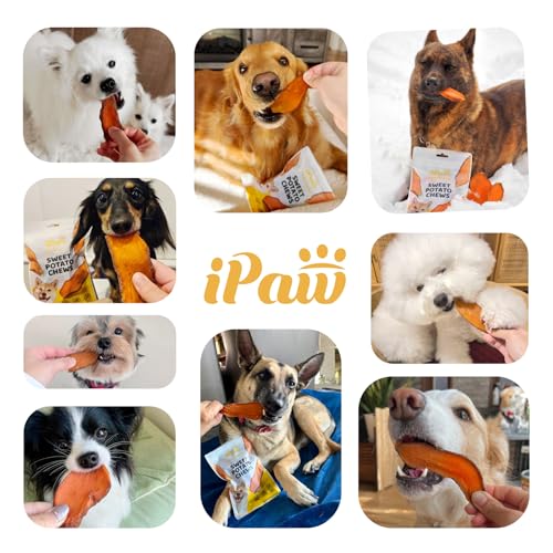 iPaw Sweet Potato Dog Treats, SQF Certified Single Ingredient Dog Treats for Vegetarian, All Natural Human Grade Puppy Chew, Rawhide Alternative, Hypoallergenic, Easy to Digest