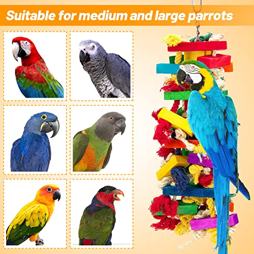 Extra Large Natural Wood Bird Toys for Macaws, African Grey,  Parrots Gifts