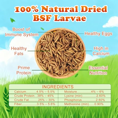 Amzey 11 LBS Dried Black Soldier Fly Larva - All Natural BSF Larvae - 85X More Calcium Than Mealworms - High Calcium Treats for Chickens, Birds, Reptiles, Hedgehog, Geckos, Turtles