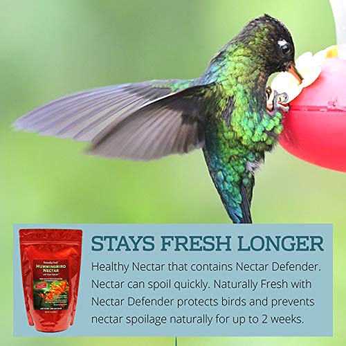 Sapphire Labs Naturally Fresh Hummingbird Nectar with Nectar Defender Lasts Longer in Hummingbird Feeders | Easy to Use Powder | Makes 96 oz of Clear Hummingbird Nectar