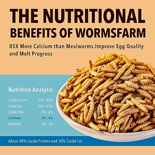 WormsFarm 5LB Dried Black Soldier Fly Larvae Treat for Chicken More Calcium Than Mealworms,for Laying Hen,Wild Birds (5 Pound)