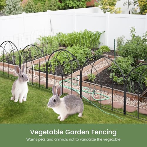 Youpehom Small 12.55"*16.53" Decorative Garden Fencing Border, No Dig Fences Barrier, Black Metal Fence, Garden Edging Fence Panel, Dog Fence Outdoor for Yard, Flower Bed (6 pcs)
