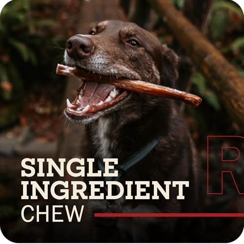 Redbarn Pet Products All Natural 5"-8" Braided Bully Sticks for Small & Large Dogs - Healthy Long Lasting Beef Chews Variety Party Pack - Single Ingredient Low Odor Rawhide Free - 8 oz Bag