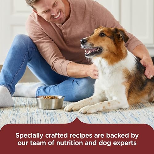 Nutrish Rachael Ray Adult Dry Dog Food Real Beef, Pea & Brown Rice Recipe, 40 lb. Bag (Packaging May Vary)