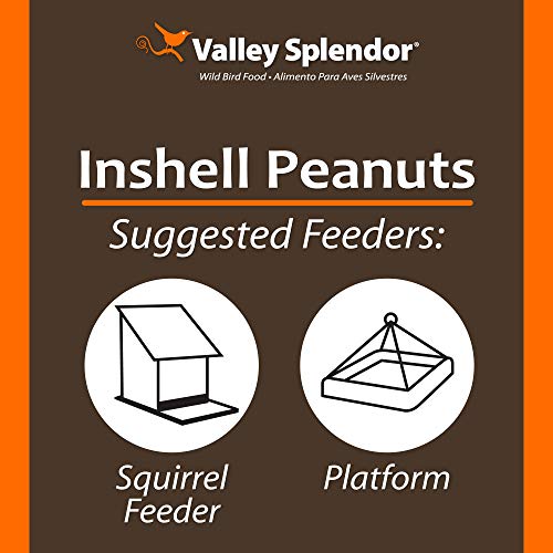 Red River Commodities 347 Peanuts In A Shell 3lbs.