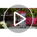 Qeeman Solar Cat Garden Statue: Weatherproof Resin Figurine with Warm Glow Lantern - Outdoor Decor for Yard Pathway Patio Porch Balcony - Gifts for Mom Grandma Cat Lovers