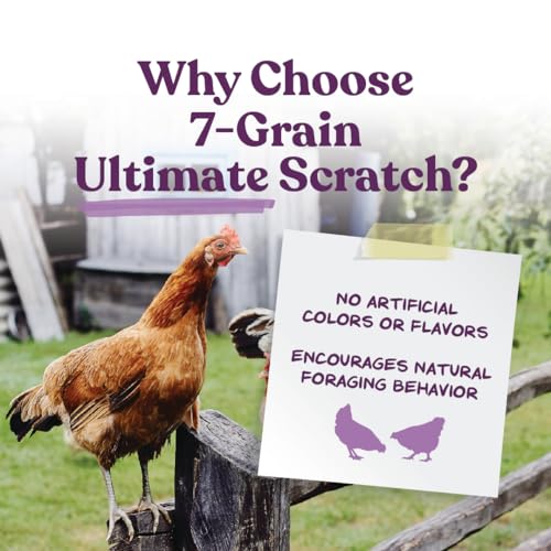 Manna Pro 7-Grain Ultimate Chicken Scratch – Non-GMO Scratch Grain Treat for Chickens, Hens and Other Birds – Natural Multigrain Blend for Poultry and Backyard Flocks – 10 lb Bag