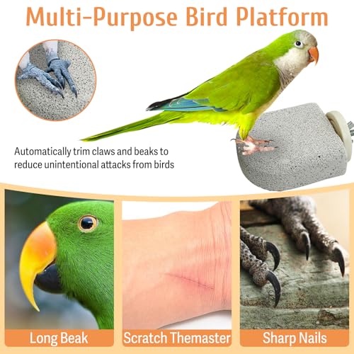 PINVNBY 4 PCS Bird Perch Stands Parrot Calcium Perch Beak Grinding Stone Foot Claws Trimmer Parakeet Platform Parrot Chewing Toys for Small Medium Cockatiel Conure Lovebird Finch