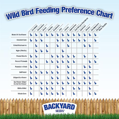 Backyard Seeds Black Oil Sunflower Seeds for Wild Birds 50lbs - Thin Shells, Premium Cardinal Food, Large Bulk Bag of Black Oil Sunflower Seeds
