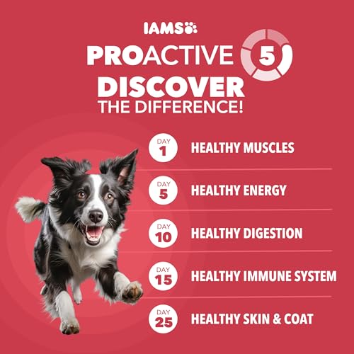 IAMS Proactive Health Dry Dog Food, Adult Dog Food Dry Recipe, Lamb & Rice, 30 lb. Bag