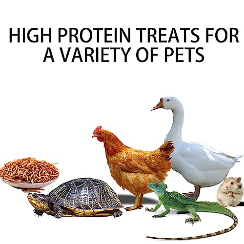 I LOVE WORMS Dried Mealworms (5lb), Wild Bird Food, High-Protein Mealworms for Bluebirds, Chickens, Ducks, Reptile, Tortoise, Amphibian, Lizard