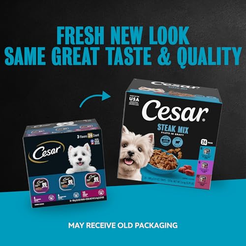 Cesar Filets in Gravy Adult Wet Dog Food Variety Pack, Filet Mignon, New York Strip, and  Rib Flavors, 3.5 oz. Easy Peel Dog Food Tray, 24 Count (Pack of 1)