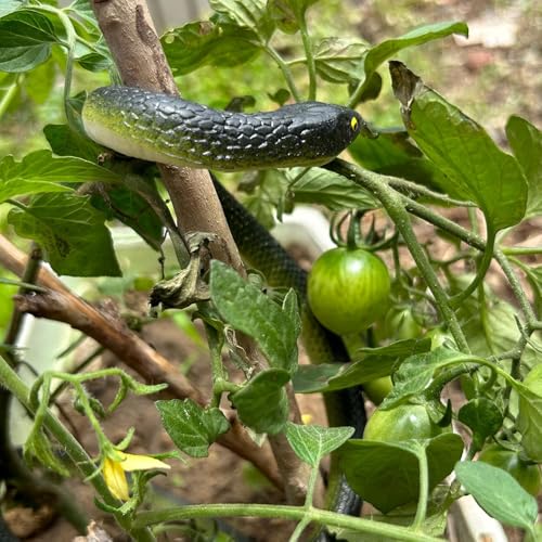 Fake Snake Soft Rubber Snake Toy, 4 Pieces Realistic Plastic Snakes for Garden to Keep Birds Away, Novelty Toys for Playing Jokes Prank Stuff Props for Halloween April Fools Party Favor