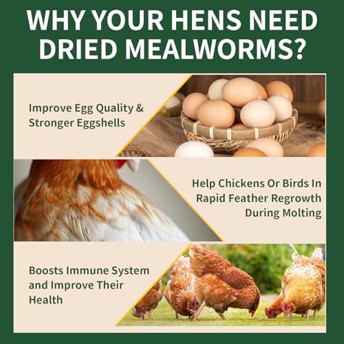 BUNTIE WORMS Dried Mealworms 5LB, 100% Natural, Non-GMO Mealworms for Chickens – High Protein Chicken Feed Meal Worms for Wild Birds, Chickens, Ducks and Turtles