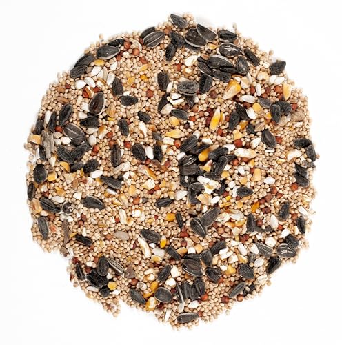 Wagner's 62008 Western Regional Blend Wild Bird Food, 20-Pound Bag