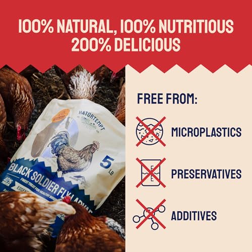 Hatortempt 10lb Dried Black Soldier Fly Larvae - More Calcium Than Mealworms for Chickens - High Protein Chicken Feed Treats for Laying Hens, Wild Birds and Duck Food
