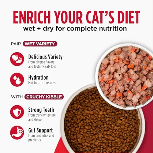 Nulo Freestyle Cat & Kitten Dry Food - Chicken & Cod Recipe, High Protein Grain Free Cat Food, Natural Kibble with Probiotics & Omega Fatty Acids, 4lb Bag