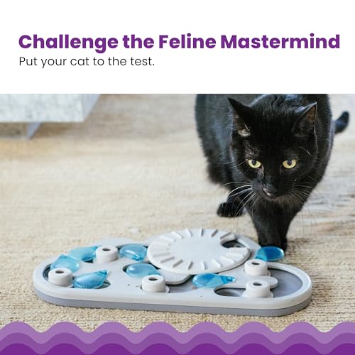 Catstages Nina Ottosson Rainy Day Puzzle & Play Cat Puzzle Feeder – Interactive Treat Game for Indoor Cats, Level 3 Slow Feeder Enrichment Toy, 13.8" x 14"