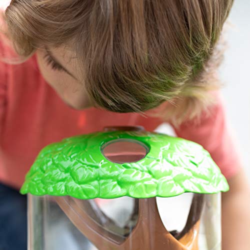 Educational Insights GeoSafari Ladybug Garden - Ladybug House with Live Ladybugs, Bug Catching Kit, Terrarium Kit for Kids & Toddlers, Bugs for Kids, At Home STEM Bug Habitat for Boys & Girls Ages 3+