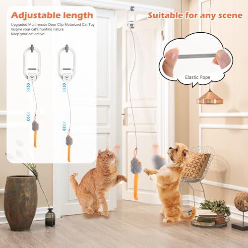 Interactive Cat Toy, Rechargeable Electric Cat Teaser, Hanging Door cat Toy, 2 Motion Modes (360° Spin & Irregular Jumping), Smart Auto Cat Toy for Exercise & Fun, Grey