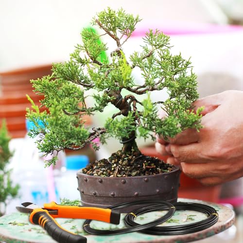 Mudder 5 Roll Aluminum Bonsai Training Wire Tree 1/1.5/2.0mm 160 Feet Total with Bonsai Wire Cutter Anodized Training for Holding Branches Small Trunks(Classic)