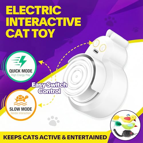 Interactive Cat Toys for Indoor Cats: Automatic Electric Flying Bird Feather & Mouse Wand, Rechargeable Electric Hanging Play Chase Exercise Moving Enrichment Toy for Bored Kittens and Adult Cats