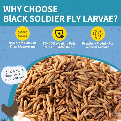 10LB Dried Black Soldier Fly Larvae for Chickens - 85X More Calcium Than Mealworms for Strong Eggshells, High-Protein Chickens Treats for Laying hens, Birds, Ducks