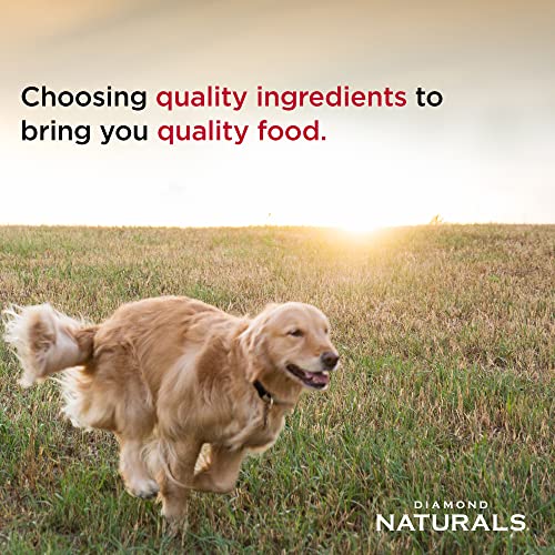 Diamond Naturals Skin & Coat Real Salmon and Potato Recipe Dry Dog Food with Quality Protein, Omega Fatty Acids, Probiotics and Essential Nutrients to Promote Healthy Skin and Coat 30lb