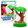 Educational Insights GeoSafari Ladybug Garden - Ladybug House with Live Ladybugs, Bug Catching Kit, Terrarium Kit for Kids & Toddlers, Bugs for Kids, At Home STEM Bug Habitat for Boys & Girls Ages 3+